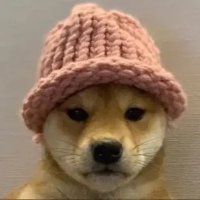 skies (@skiesfps) 's Twitter Profile