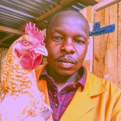 We simply make your Livestock Investment Profitable
||Consult with our Veterinary Surgeons on +254742261986. Kenya