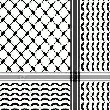 muslimnafs's profile picture. 