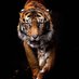 jaden wills (@reeve13010) Twitter profile photo