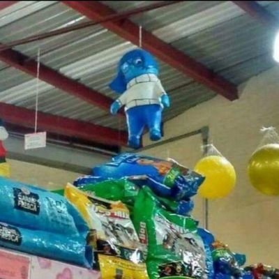 littlemack_'s profile picture. any pronouns