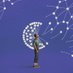 Vitalik: An Ethereum Story (@ethereumfilm) Twitter profile photo Vitalik: An Ethereum Story (@ethereumfilm) Twitter profile photo