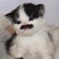 404 (@faygocoin) 's Twitter Profile