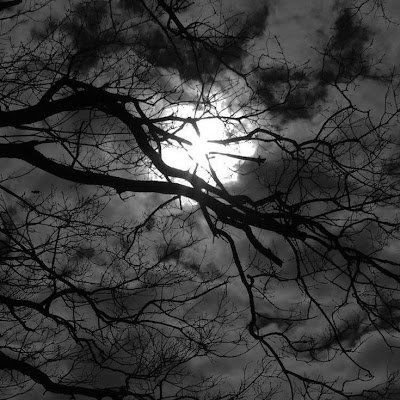 0xyouyou's profile picture. 