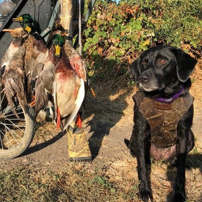 _EmmaGoddess's profile picture. GOD✝️🇺🇸 Single mom. Lover of the outdoors🌎Live each day to the fullest, there’s adventure around every corner!  Hunt🦆Dog🐕Golf🏌️‍♀️Beach🏖️RE🏘️