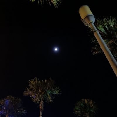 HnznIsml's profile picture. not your cup of tea