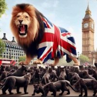 parkie🇬🇧🏴 (@aliparker22362) 's Twitter Profile