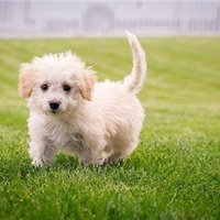 あや／お金を引き寄せる (@ajiseru57902) 's Twitter Profile