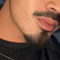 Huskybully (@huskybully69) 's Twitter Profile