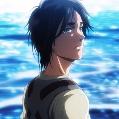 Attack on Titan Profile