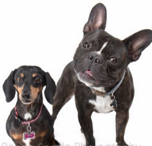 dtc125's profile picture. Rocking in Nashville!