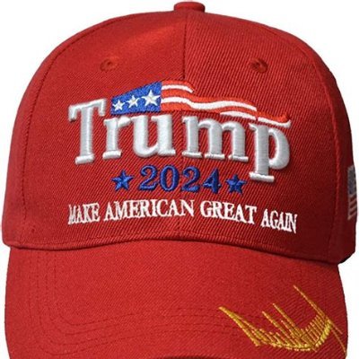 Voter ID, Fingerprints, Poll worker Body Cams Election system I propose TURNSTILES, Limited mail in ballots. IN person Voting USAF NO PORN OR DM. TRUMP 2024