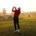 Ray Daily (@raydailygolf) Twitter profile photo Ray Daily (@raydailygolf) Twitter profile photo