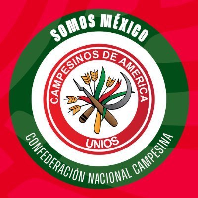 @CNC_Michoacan_