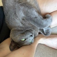 Eleanor Kelly (@eleanorkf1) 's Twitter Profile