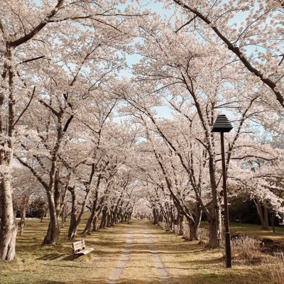 whatafeeling35's profile picture. 🍎