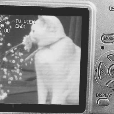 meltedwaxwings_'s profile picture. mostly inactive . all my own work, credit if used