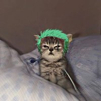 dumaSz (@tavehfps) 's Twitter Profile Photo dumaSz (@tavehfps) 's Twitter Profile Photo