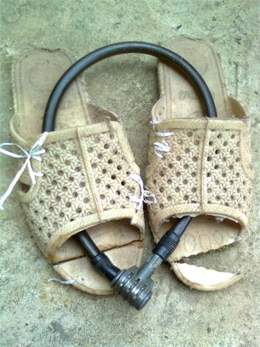 quocvo1's profile picture. 