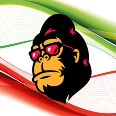 Official FEG TOKEN Iran account 🇮🇷 https://t.co/oU25LodIze https://t.co/OegNbejYaa FEED EVERY GORILLA 🦍