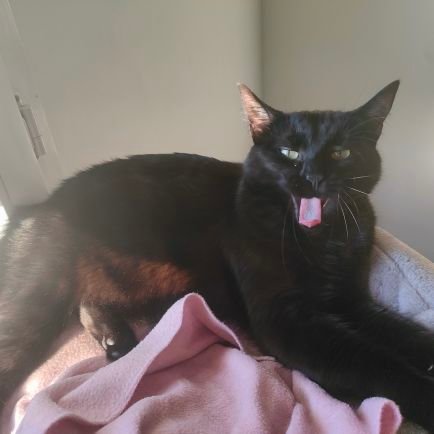 Ed_Ayden_13's profile picture. 21 ans, Marseille, L3 Droit, fan de jeux vidéos et d'animes. 
J'aime le foot.
#teamOM #KCWIN