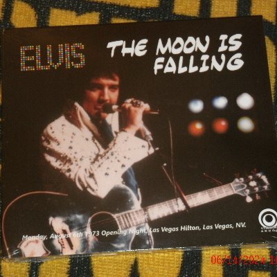 SteelerBrad2023's profile picture. ELVIS STEELERS PIRATES PENGUINS
