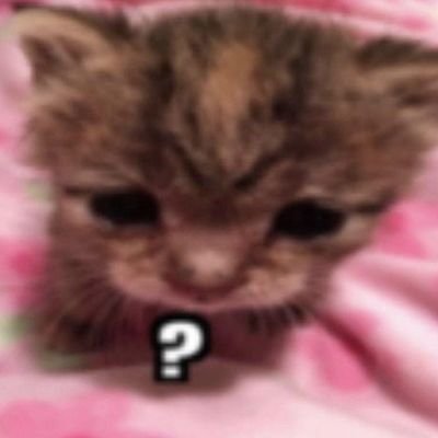 GoodGuyPyro_'s profile picture. Memes make me laugh so I come here to look for them.