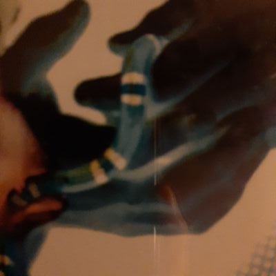 phloximanie's profile picture. oh du, drosophila melanogaster verpiss dich