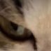 furry liker (@tuesday63072) Twitter profile photo furry liker (@tuesday63072) Twitter profile photo