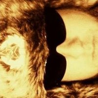 Jan (@holladiejan) 's Twitter Profile Photo