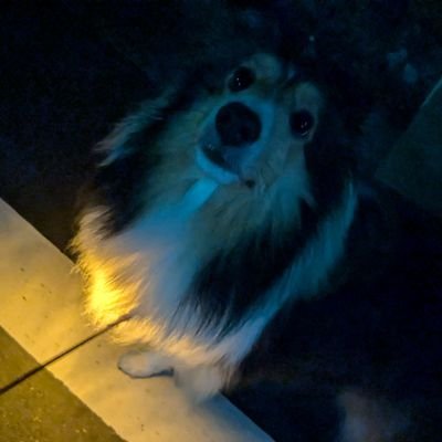 ROM200412's profile picture. 