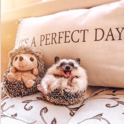 Lore69347959's profile picture. 😉💐❤