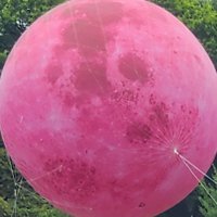 MNA (@arpiat0719) 's Twitter Profile