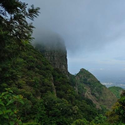 Shubham42115637's profile picture. 