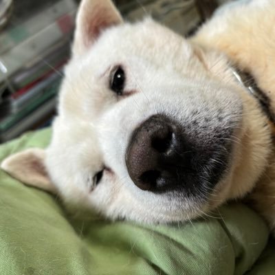 クロエさんのプロフィール画像