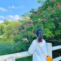 Asuka☆お金に恵まれる方法 (@asuka993019) 's Twitter Profile