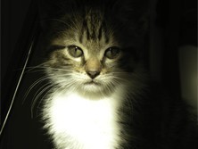 Bertranmartine's profile picture. .Anticonformiste;antiraciste .Pessimiste pour l'avenir.Soif d'infos...peut-être anti-social...graine d'anar !