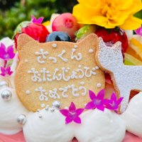 aisa1305 (@a39misu10y7aid) 's Twitter Profile Photo