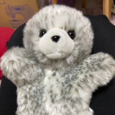 ふわふわのゴマお🦭さんのプロフィール画像