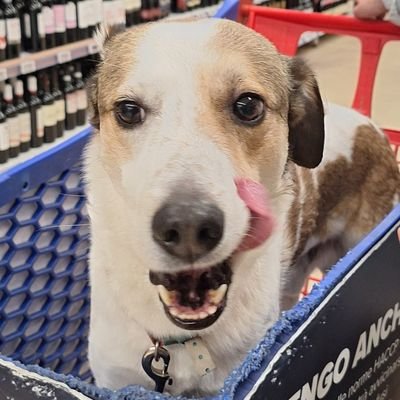 CedenoEleonora's profile picture. Sedegno not sedeno