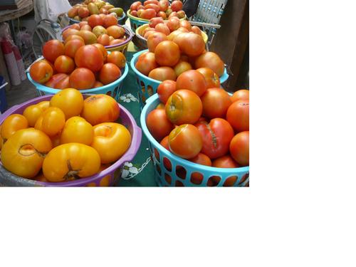 Chemical - Free, Sustainable, Responsibly Grown Vegetable Farm. 'Like' us for updates! http://t.co/RwbgVOxgkm
