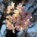 Susan Edge - @SusanEdgePhotog - Twitter