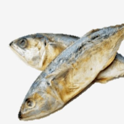 SwadeshP0's profile picture. Stupid, yet curious