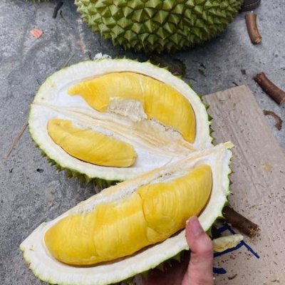 1DDriveTEAM's profile picture. #ADM 👉#FollowsEli👈 
🌷🍃 #TmPetal #TEAMSTALLION #1DDRIVE #GainAlisa #ItaDrive