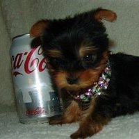 alli (@allieabstract) 's Twitter Profile