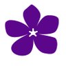 LymphomaAction's profile picture. We’re a UK charity dedicated to lymphoma - the most common blood cancer. We're here to inform, support and connect.
