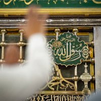 Hany BASHA (@hazemha04298916) Twitter profile photo