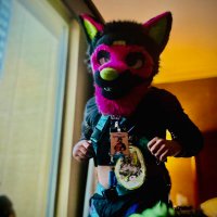 Reisbarks@ home (@reisbarks1) 's Twitter Profile Photo Reisbarks@ home (@reisbarks1) 's Twitter Profile Photo