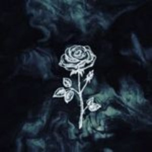 Ch0zen_OSRS's profile picture. Osrs enjoyer

https://t.co/0wJgOs5F6V