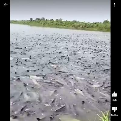 BMohbbat's profile picture. 